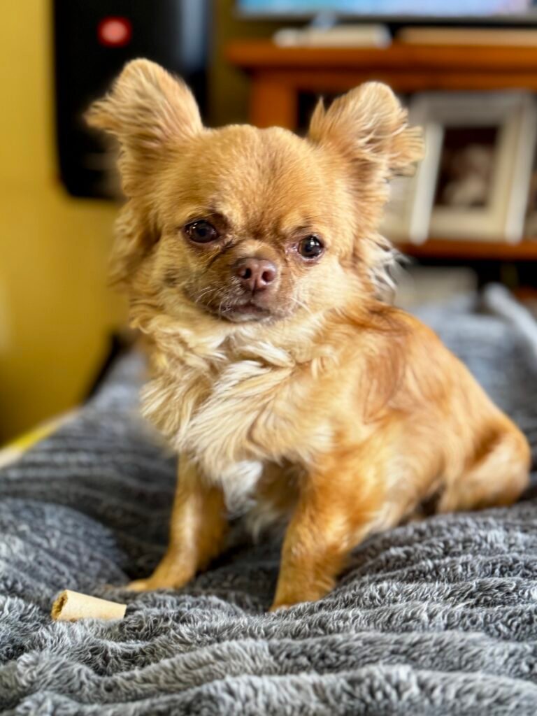 Cooper