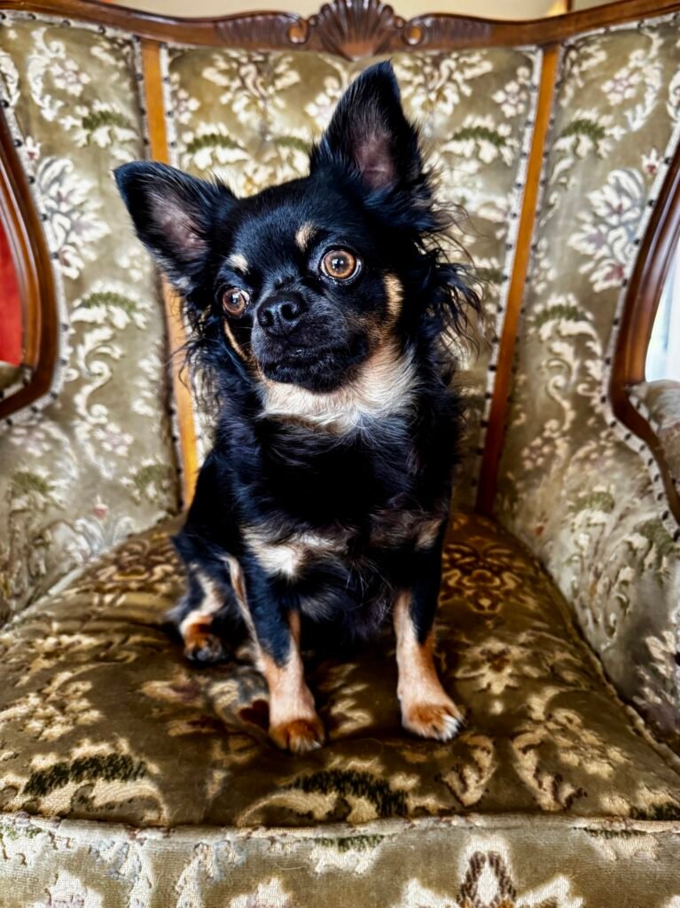 Morris